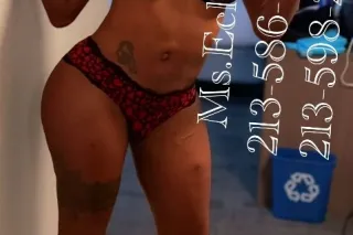 Hello Love Bugs 🐞 ❤ Your Favor... - Image 4